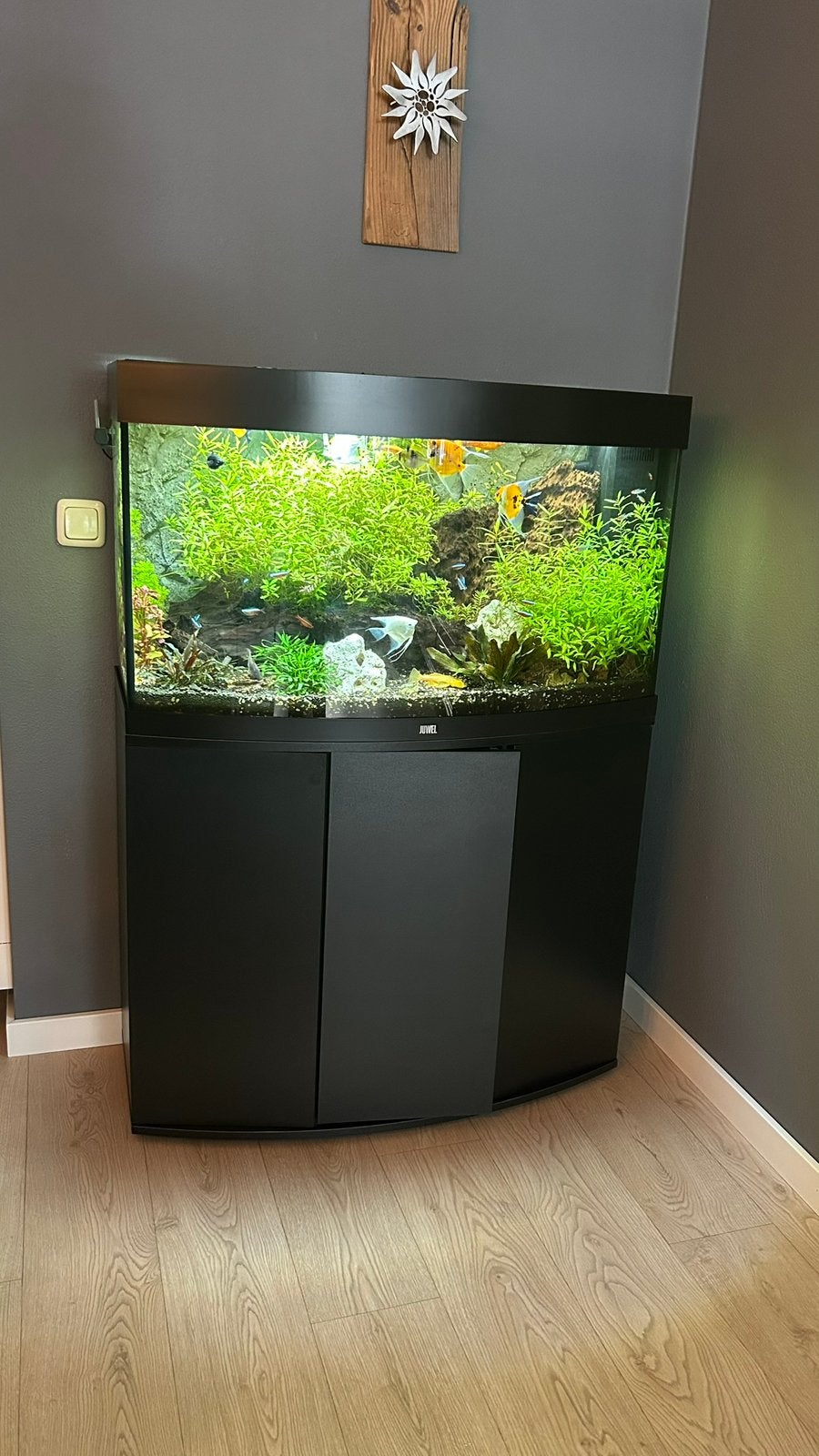 Jewel Aquarium Rio 180 Vision., Ophalen, Verwarming, Zo goed als nieuw, Leeg aquarium