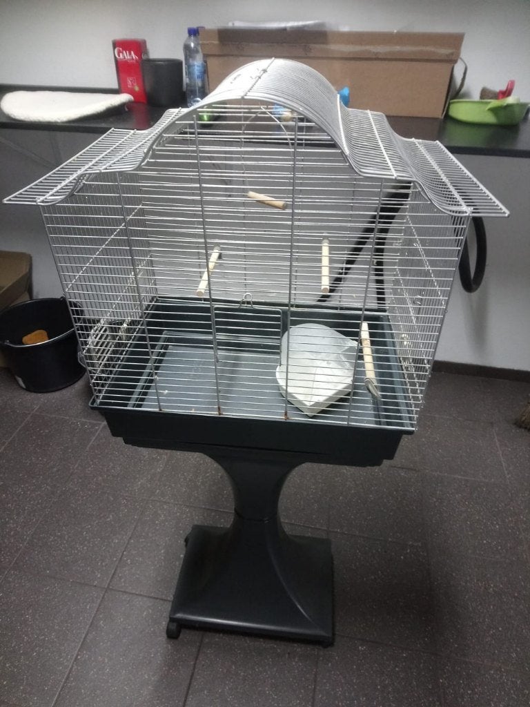 Vogelkooi, Dieren en Toebehoren, Vogels | Hokken en Kooien, Ophalen, Zo goed als nieuw, Metaal, Vogelkooi