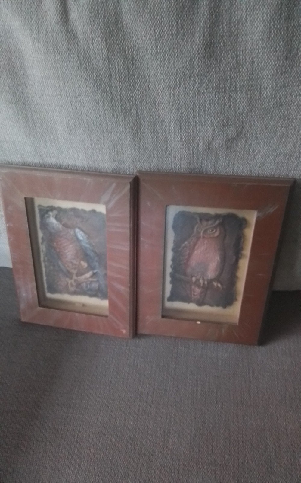 Ingelijste uil en havik schilderijen - set van 2, Ophalen, Hout, Achter glas, Dieren