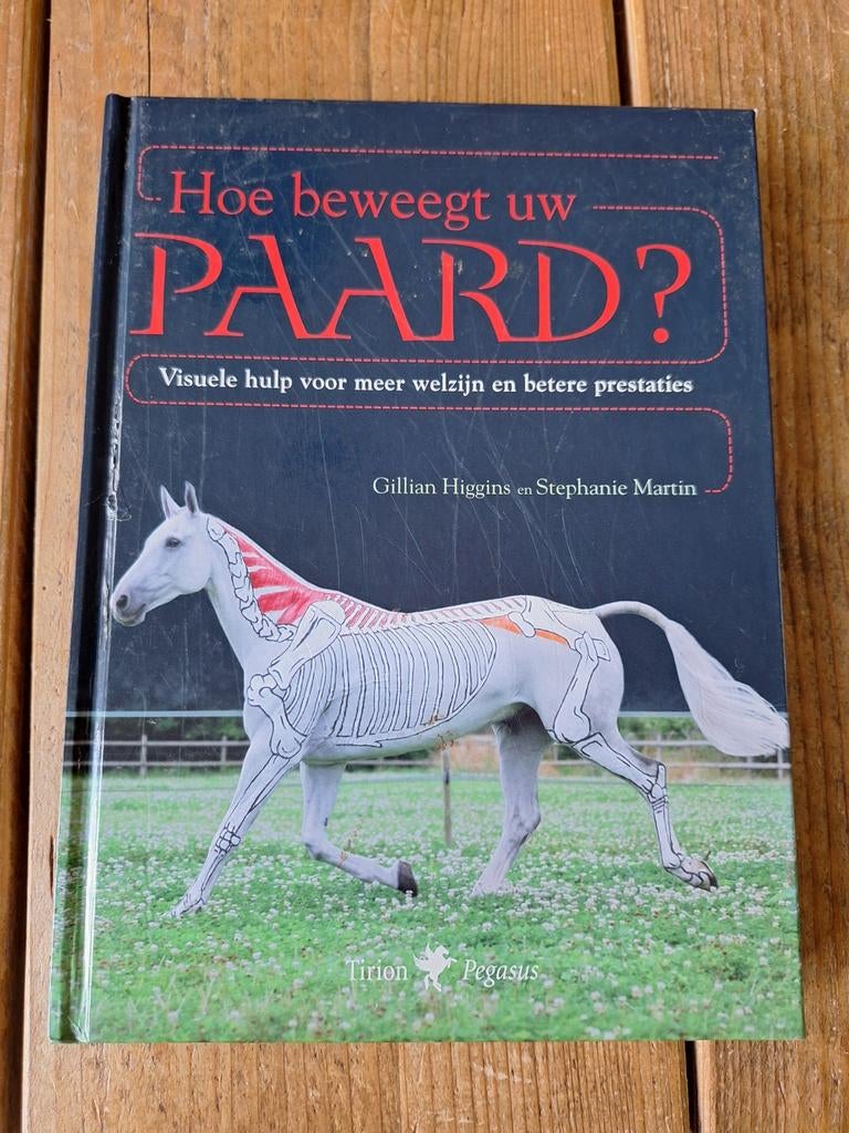 Hoe beweegt uw PAARD?  Higgins en Martin - 9789052107851, Boeken, Verzenden, Gelezen, Paarden of Pony's