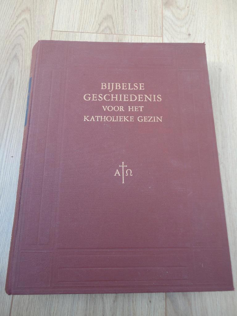 Boek Bijbelse Geschiedenis voor het Katholieke gezin, Gelezen, Christendom | Katholiek, Schiphorst, Ophalen of Verzenden