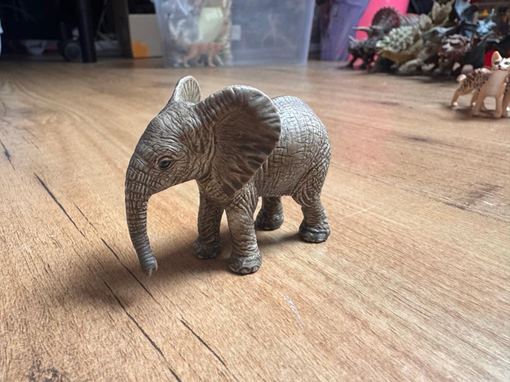Schleich Wild Life 14763 Afrikaanse Olifant Kalf, Ophalen, Zo goed als nieuw, Jongen of Meisje