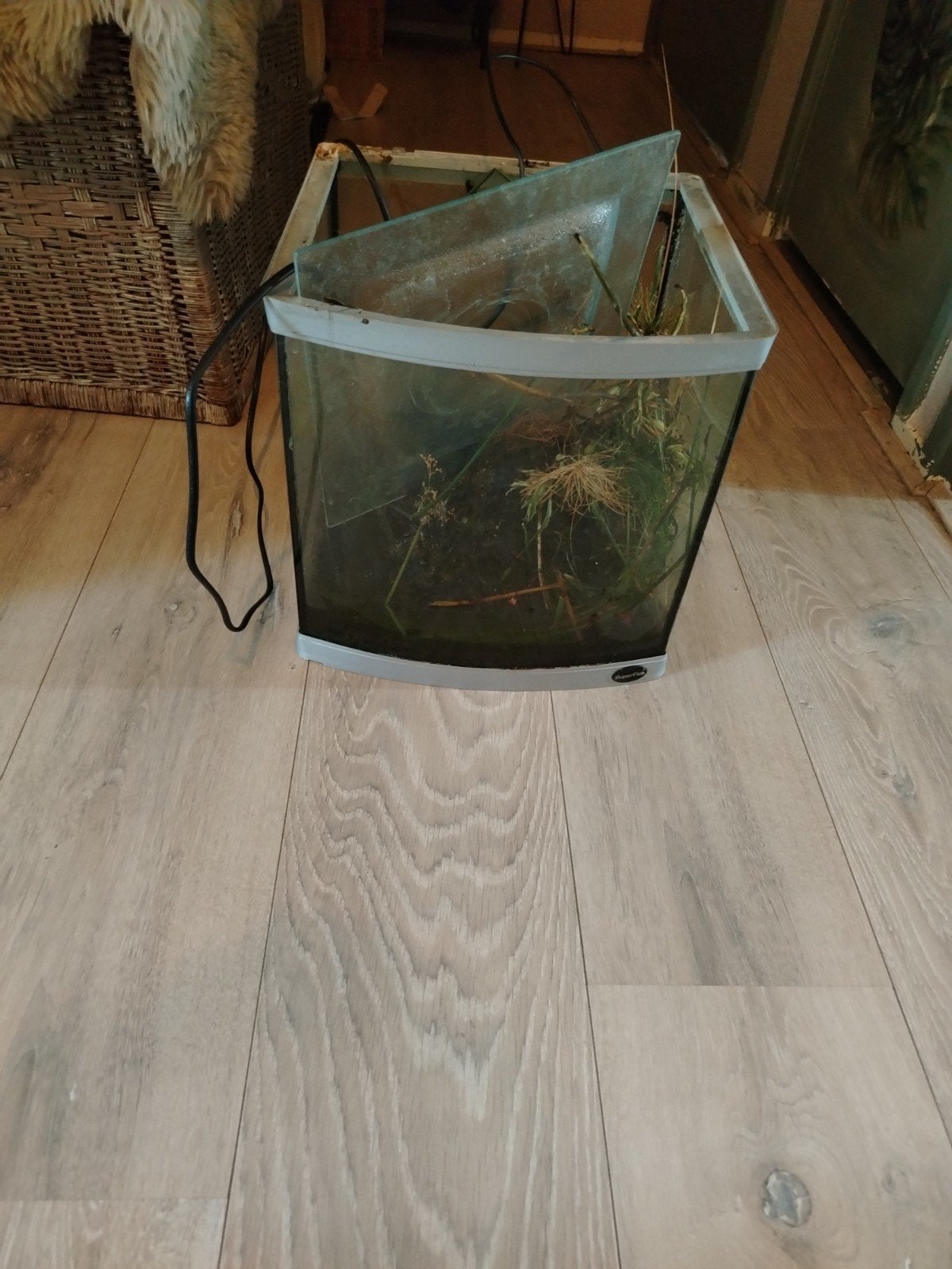 gratis ophalen 30 liters Aquarium, Dieren en Toebehoren, Ophalen, Gebruikt