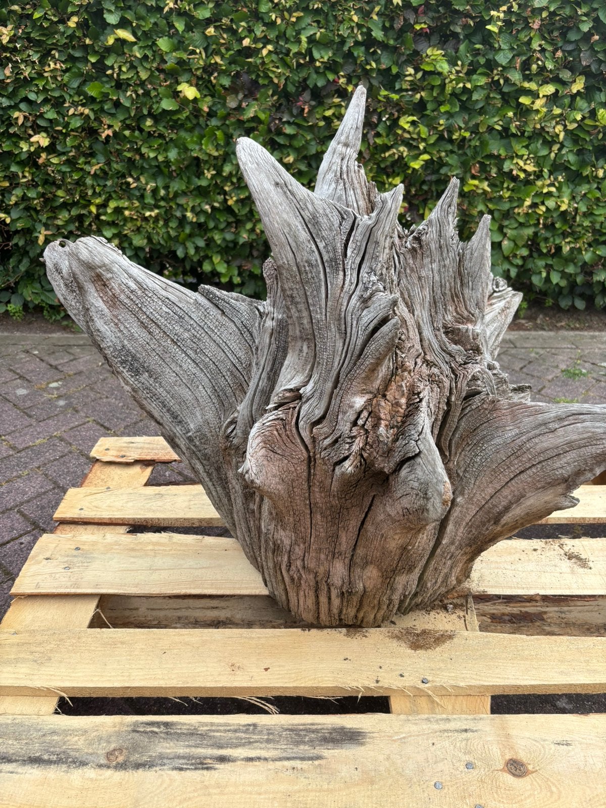 Houten stronk, Tuin en Terras, Ophalen