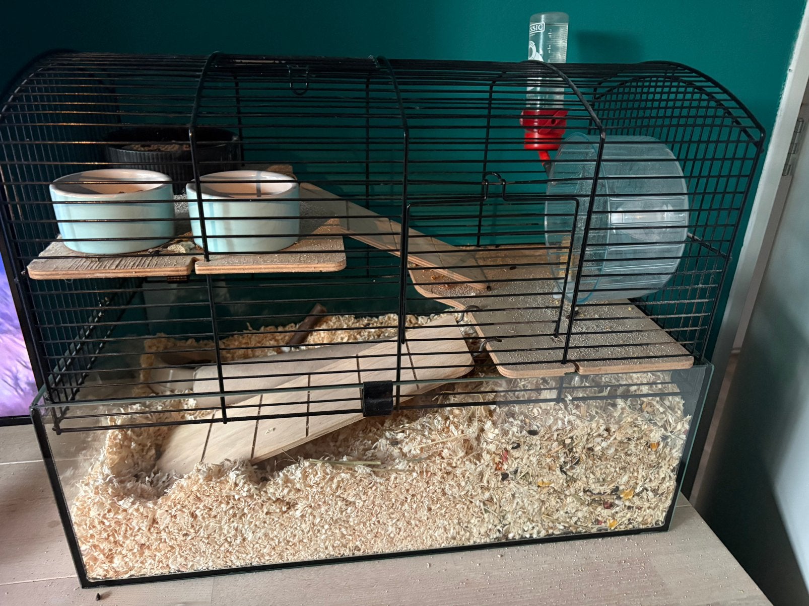 Goudhamster met kooi en toebehoren, Kooi, Minder dan 75 cm, Zo goed als nieuw, Ophalen