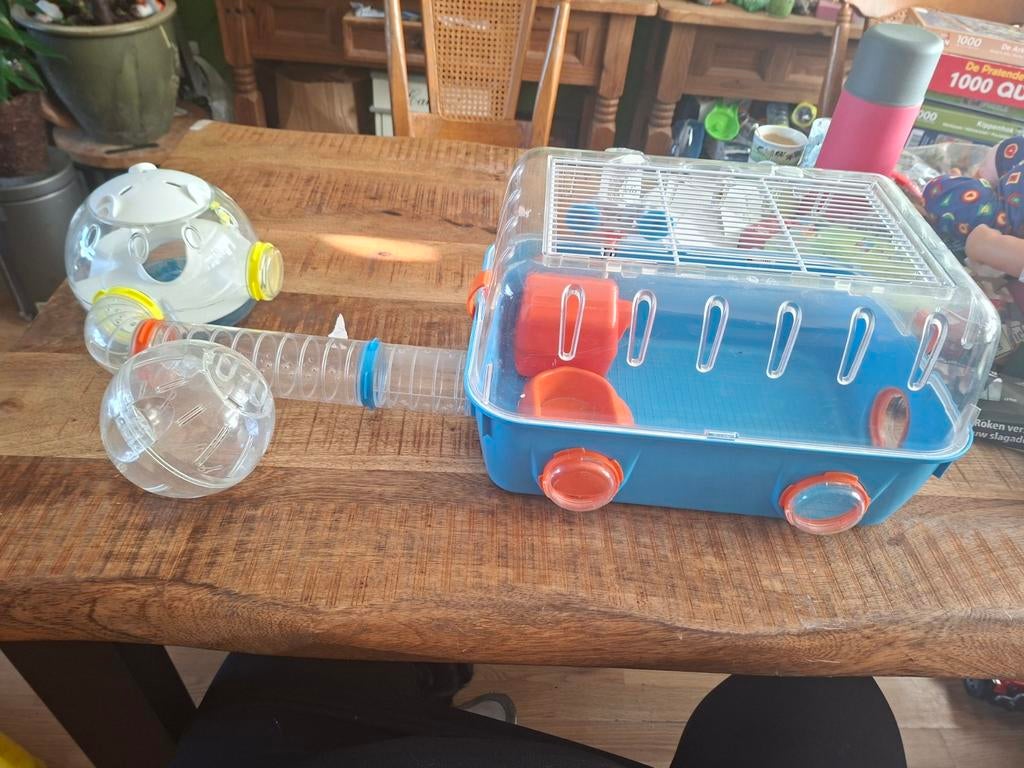 Hamster kooi met toebehoren, Minder dan 60 cm, Kooi, Minder dan 75 cm, Ophalen of Verzenden