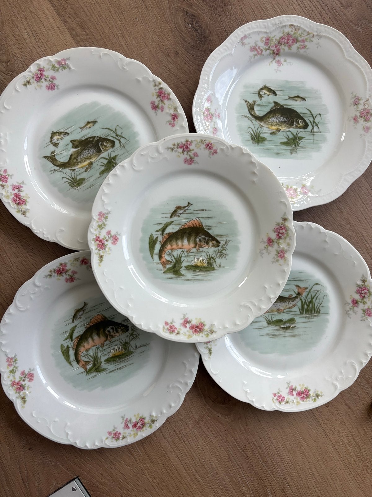 Antieke Bavaria visborden set - 5 stuks, Ophalen of Verzenden