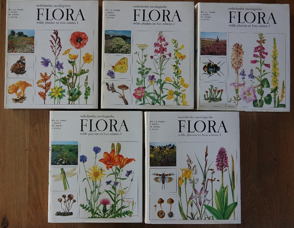 Nederlandse Oecologische Flora, Bloemen, Planten en Bomen, Drs. Eddy Weeda, R, CH. en T. Westra, Ophalen of Verzenden, Zo goed als nieuw