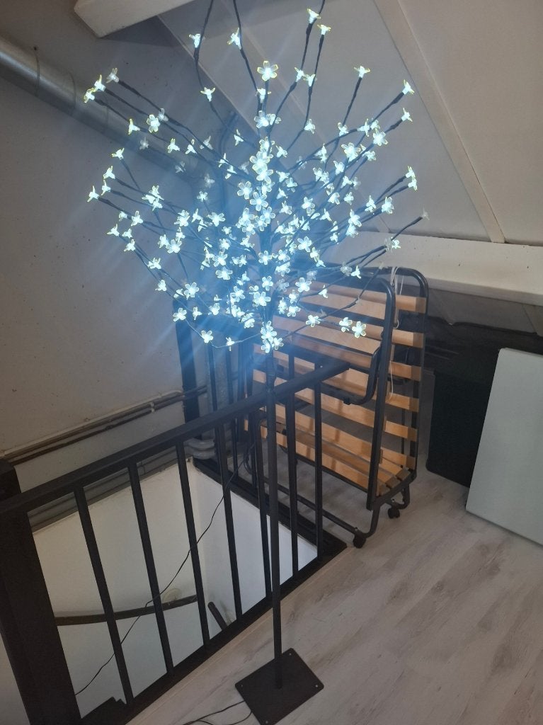 boom deco, Tuin en Terras, Planten | Bomen, Ophalen, Volle zon, Overige soorten, Minder dan 100 cm