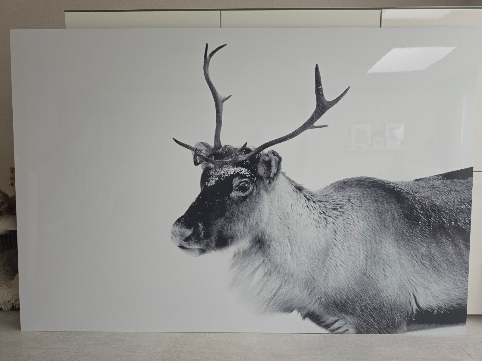 Decoratief rendier op aluminium plaat 180x120 cm, Ophalen, 125 cm of meer, 75 – 100, Print