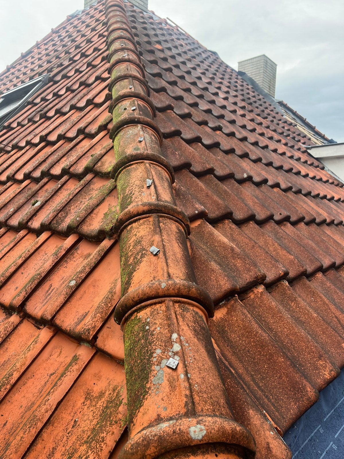 Nokvorsten natuur rood - 40 stuks, Ophalen of Verzenden, Gebruikt