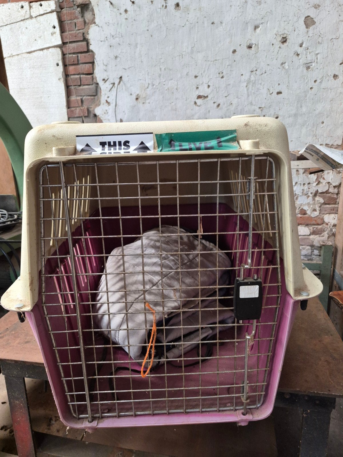 Vervoersbox hond bench, Dieren en Toebehoren, Ophalen, Zo goed als nieuw