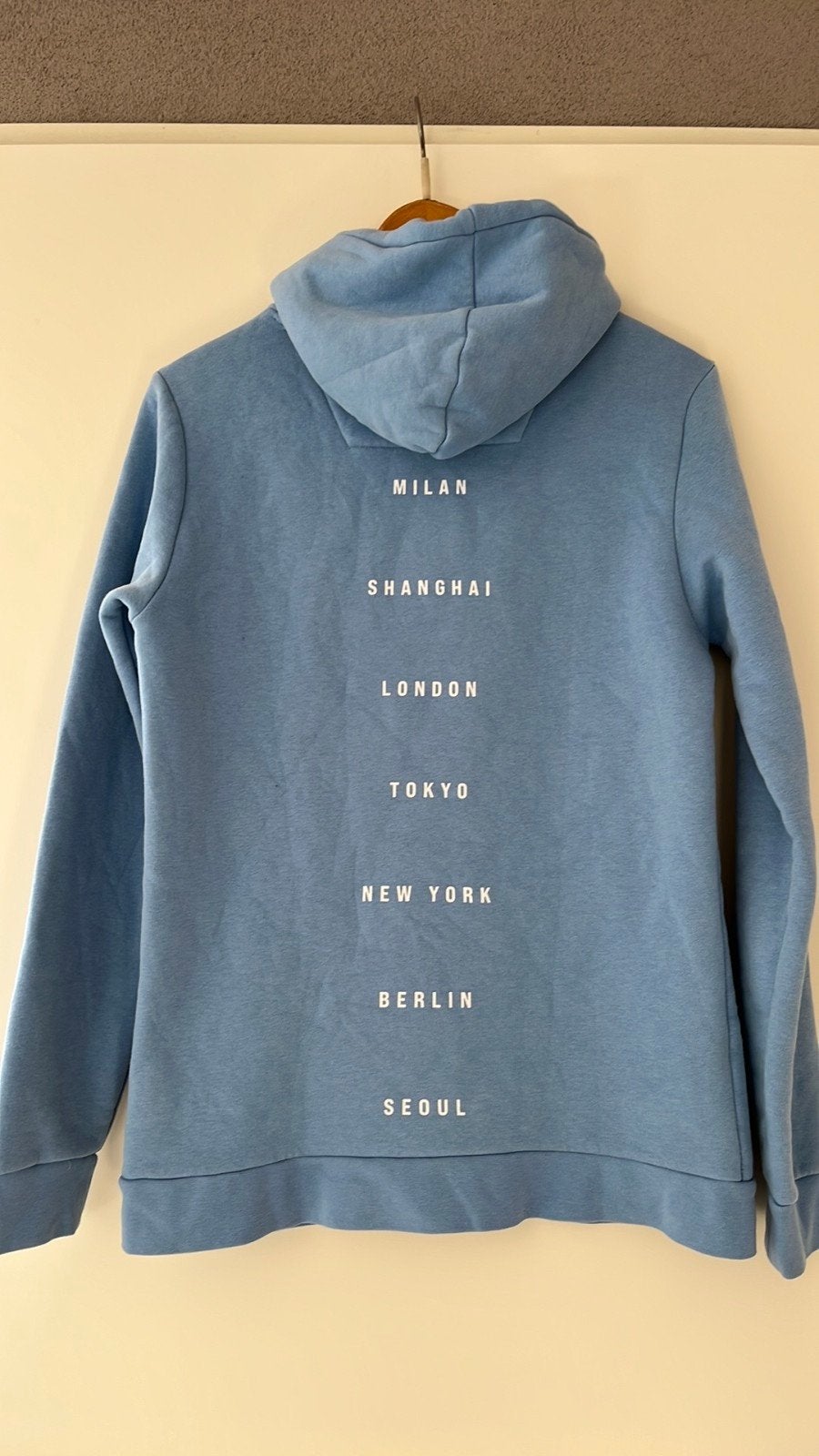 Babyblauwe hoodie van Daily Aesthetikz maat S, Blauw, Ophalen of Verzenden, Maat 36 (S), Daily Aesthetikz