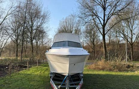 Sea Ray SRV 260/ 2 MerCruisers 330PK, Watersport en Boten, Speedboten, Ophalen, Gebruikt, Binnenboordmotor, 6 meter of meer