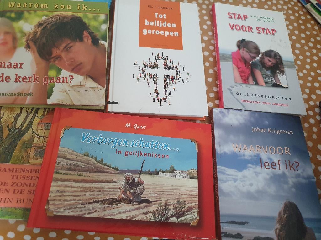 Christelijke boeken, Boeken, Godsdienst en Theologie, Ophalen of Verzenden, Zo goed als nieuw