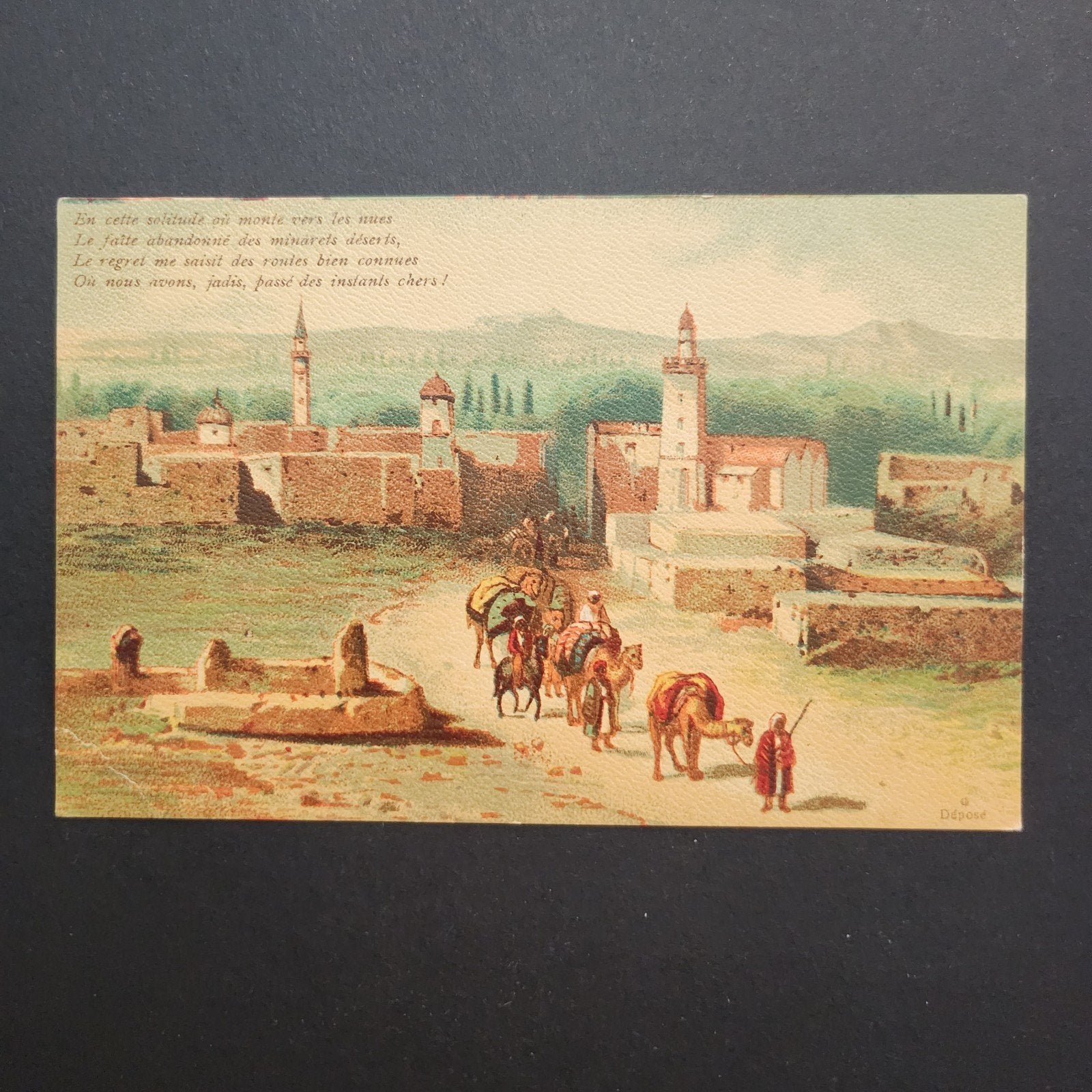Oude ansichtkaart: Tunesisch landschap met kamelen, Verzenden, Voor 1920, Ongelopen, Buiten Europa
