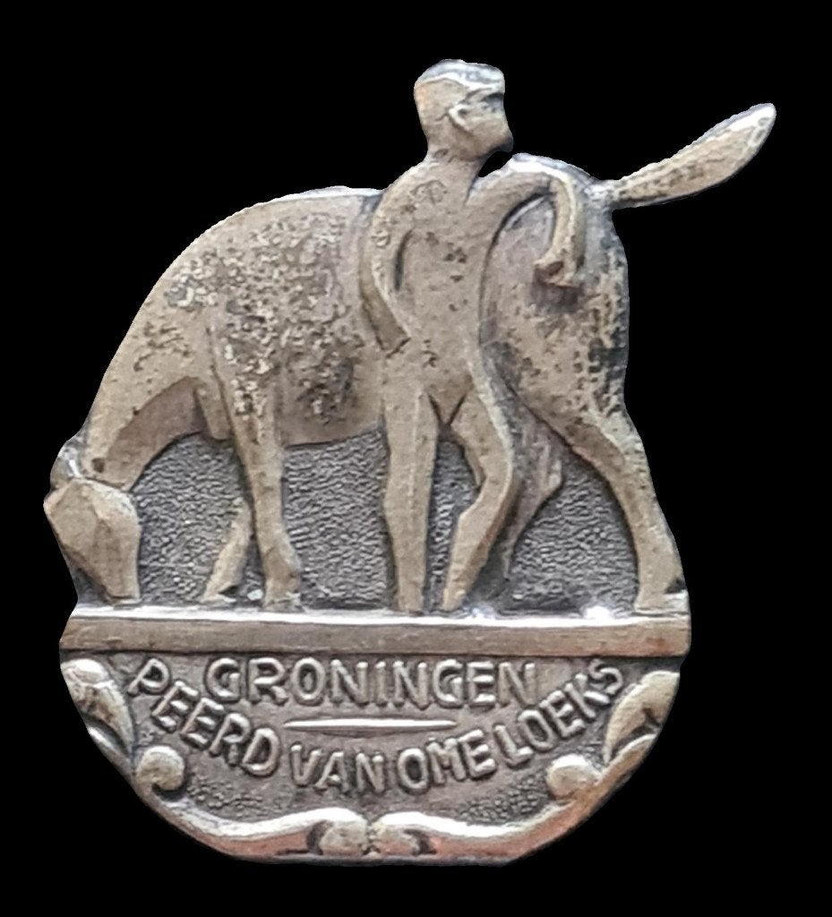 Groningen- Peerd van Ome Loeks speld, Verzenden, Nieuw, Stad of Land, Speldje of Pin