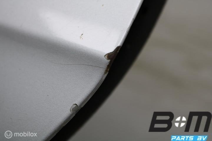 Portier LA VW Passat B6 Variant LA7W 3C9833055F, Gebruikt