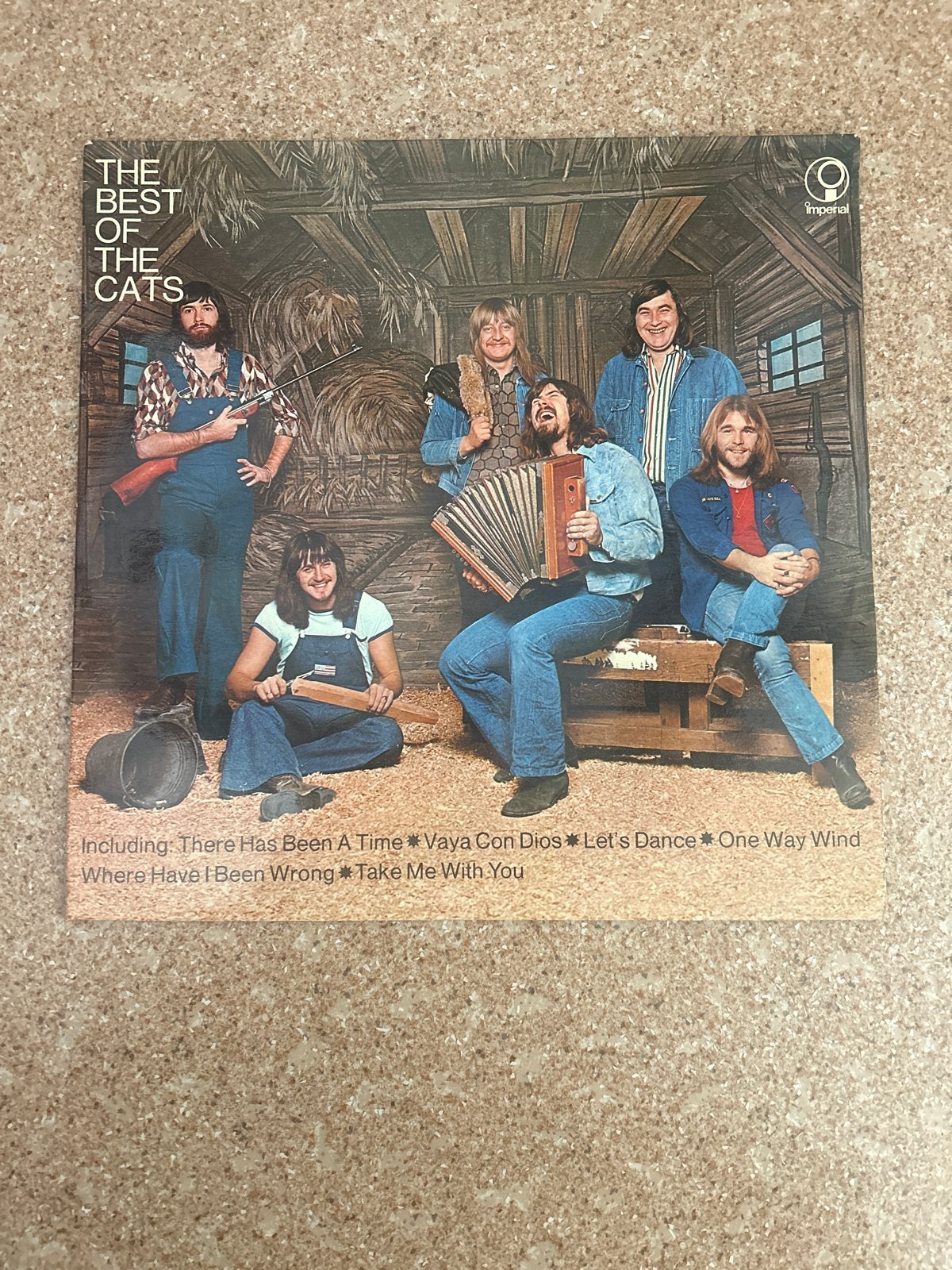 LP The Cats - The Best of The Cats, Cd's en Dvd's, LP, Gebruikt, Pop, Ophalen of Verzenden