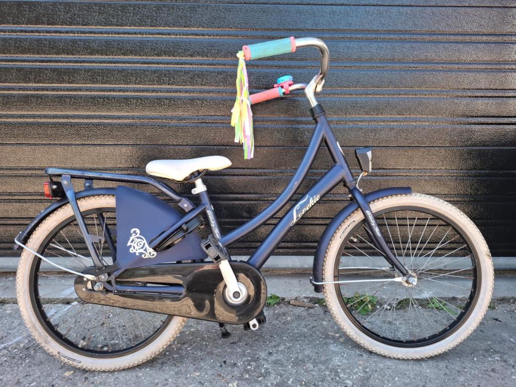 20 inch Loekie country meisjesfiets, Terugtraprem, Loekie, Niet ingevuld, 20 inch
