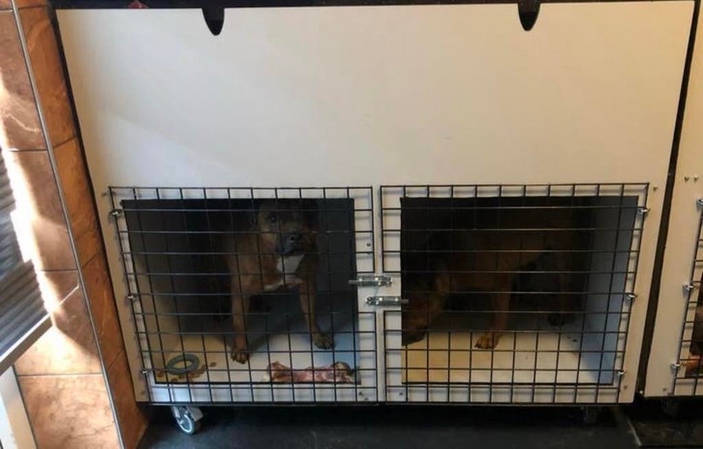 Honden Bench/honden verblijf, Dieren en Toebehoren, Ophalen, Gebruikt