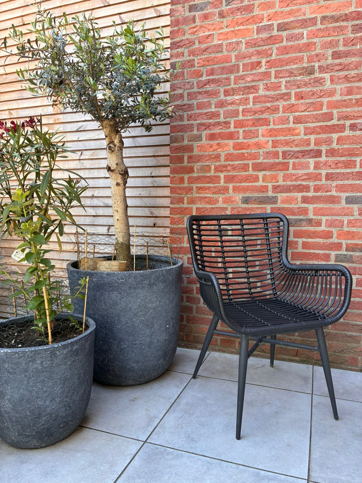 Intenso Asti dining tuinstoel, Ophalen, Zo goed als nieuw, Wicker