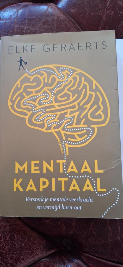 Mentaal Kapitaal - Versterk je mentale veerkracht, Ophalen of Verzenden, Gelezen, Elke Geraerts, Nederland