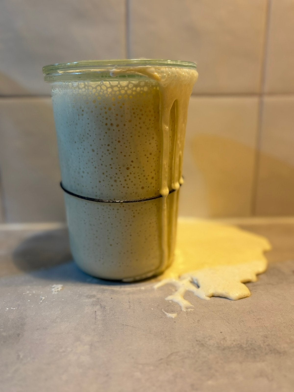 Desemstarter droog of actief (tarwe, rogge, spelt), Ophalen, Zo goed als nieuw, Wit, Overige typen