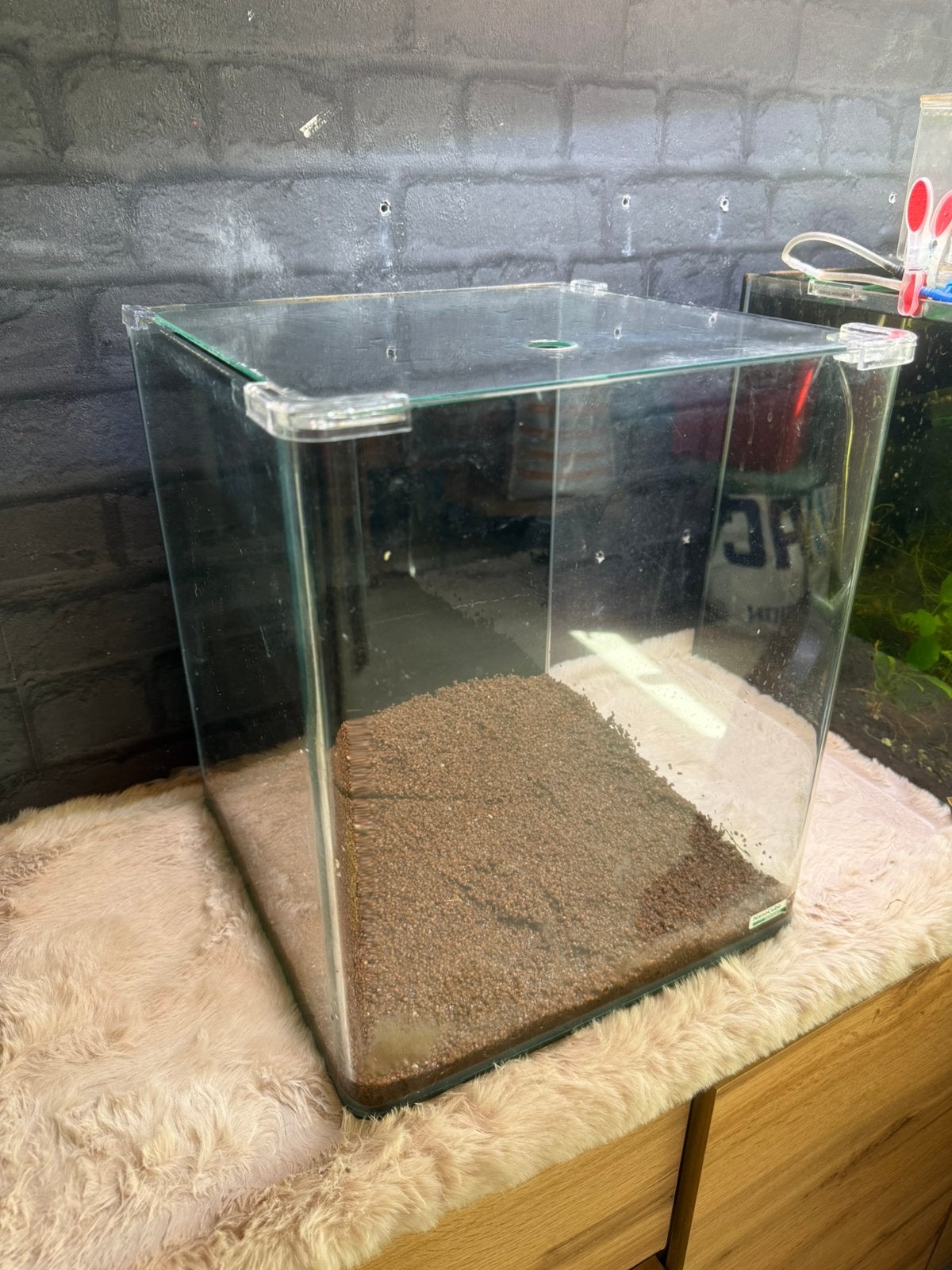 Dennerle 30L nano cube incl glasplaat, Ophalen, Gebruikt, Leeg aquarium, Dennerle