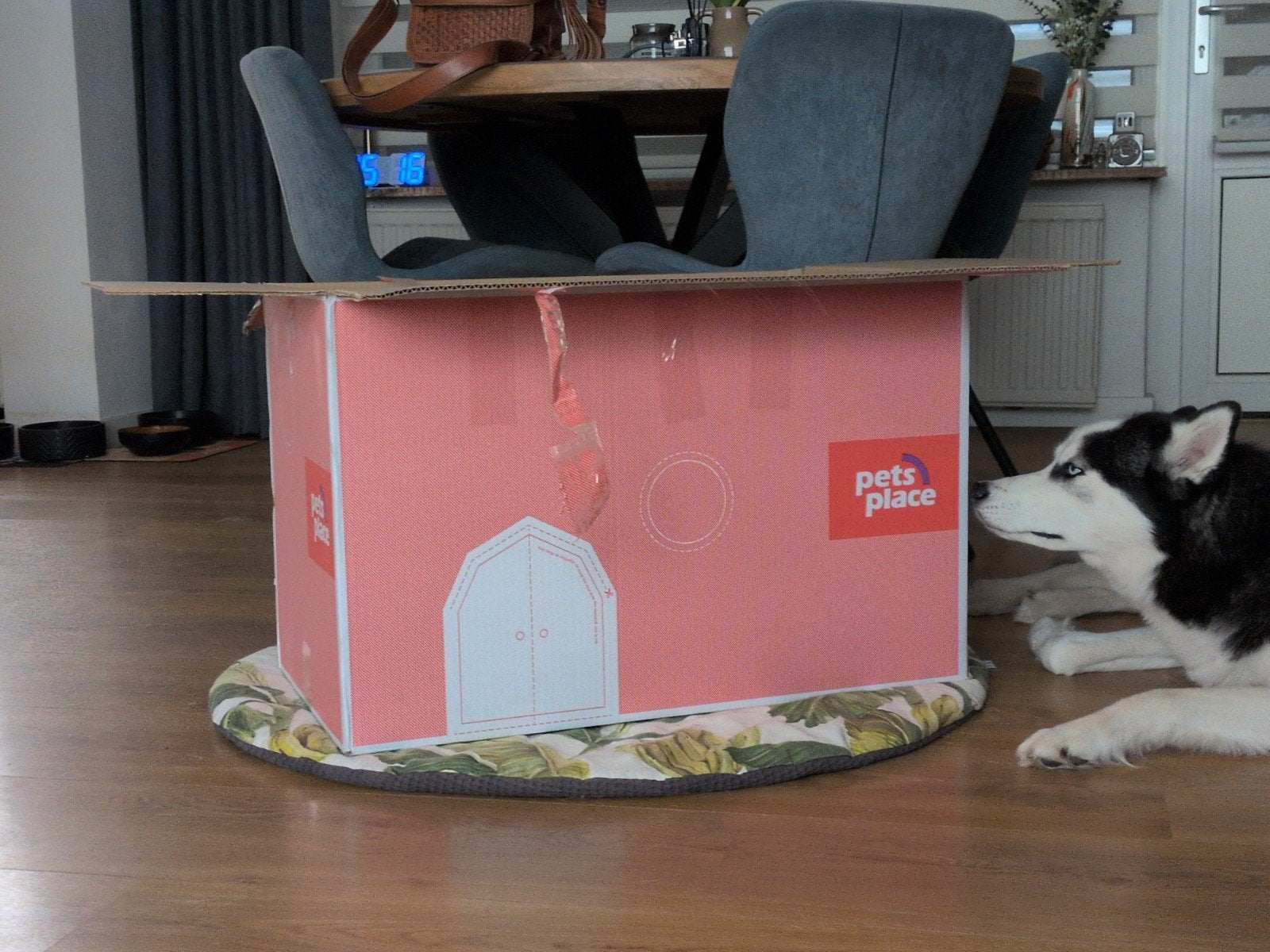 Gratis grote doos leuk voor konijn kat, Dieren en Toebehoren, Ophalen, Nieuw, Minder dan 65 cm