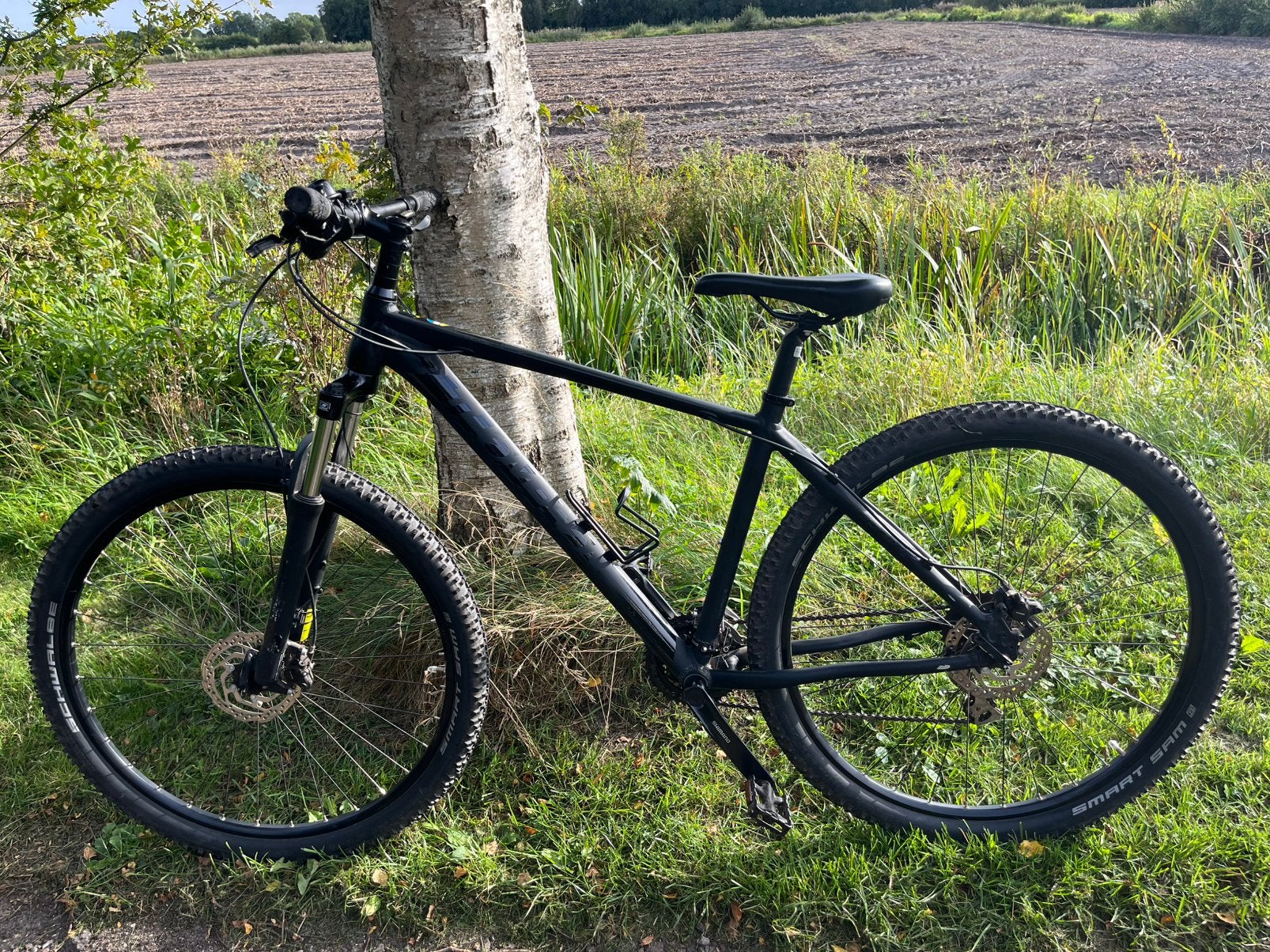 Mountainbike Thompsen Lizard 29 inch, 45 tot 49 cm, Ophalen, Zo goed als nieuw, Overige merken