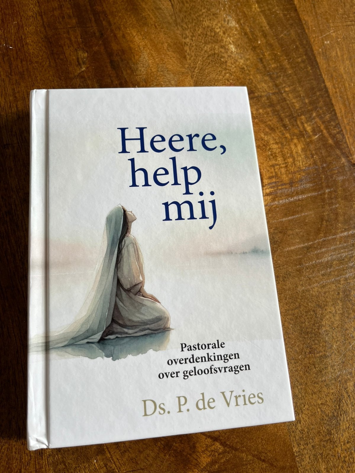 ds. P. de Vries - Heere, help mij!, Ophalen of Verzenden, Zo goed als nieuw