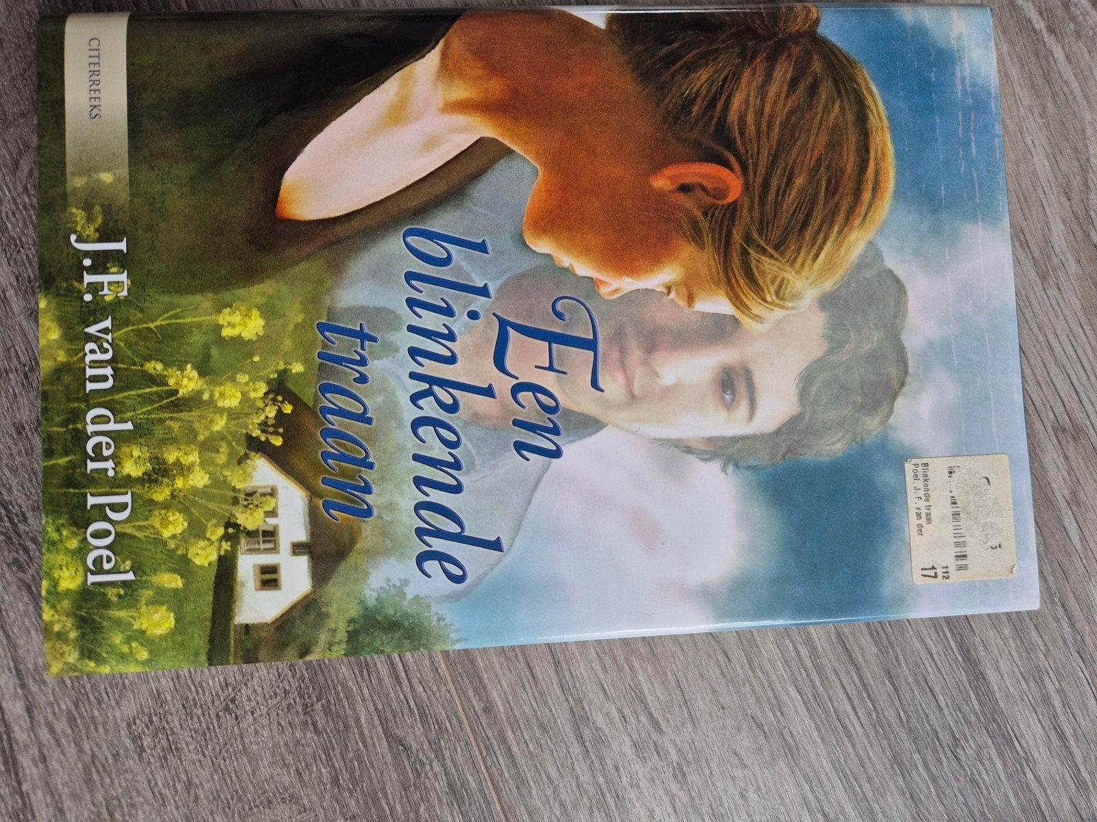 Een blinkende traan - J.F. van der Poel, Boeken, Ophalen of Verzenden, Nieuw, J.F. van der Poel, Nederland