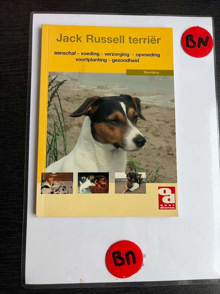 Jack Russell Terriër: Aanschaf, Voeding, Verzorging & Meer, Ophalen of Verzenden, Gelezen, Honden