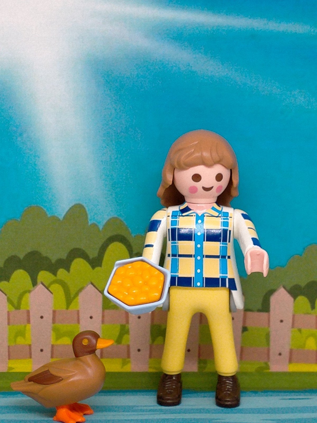 NIEUW VROUW VOERT EEND, Ophalen of Verzenden, Nieuw