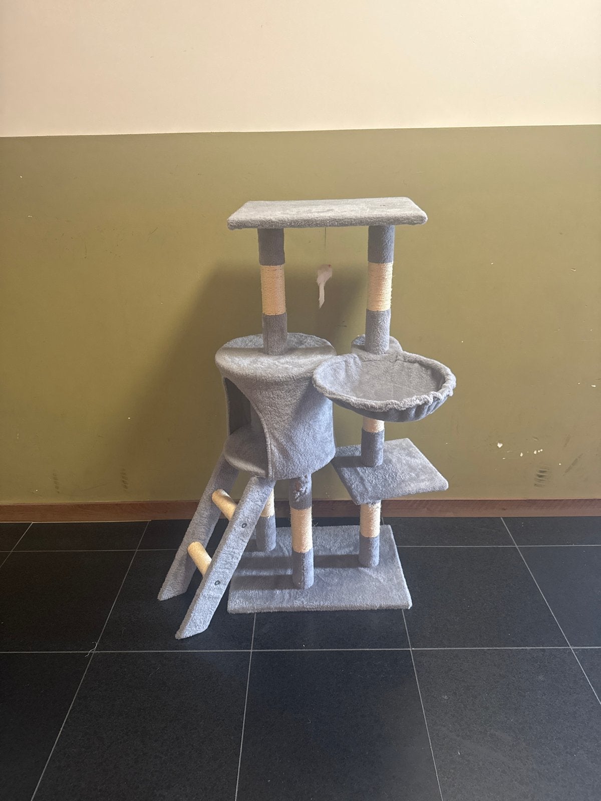 Kattenhuis, Dieren en Toebehoren, Meerdere dieren, Langharig