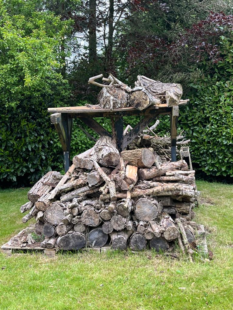 Brandhout Wilg / Populierenhout - Diverse maten, Tuin en Terras, Haardhout, 3 tot 6 m³, Ophalen, Overige houtsoorten, Blokken