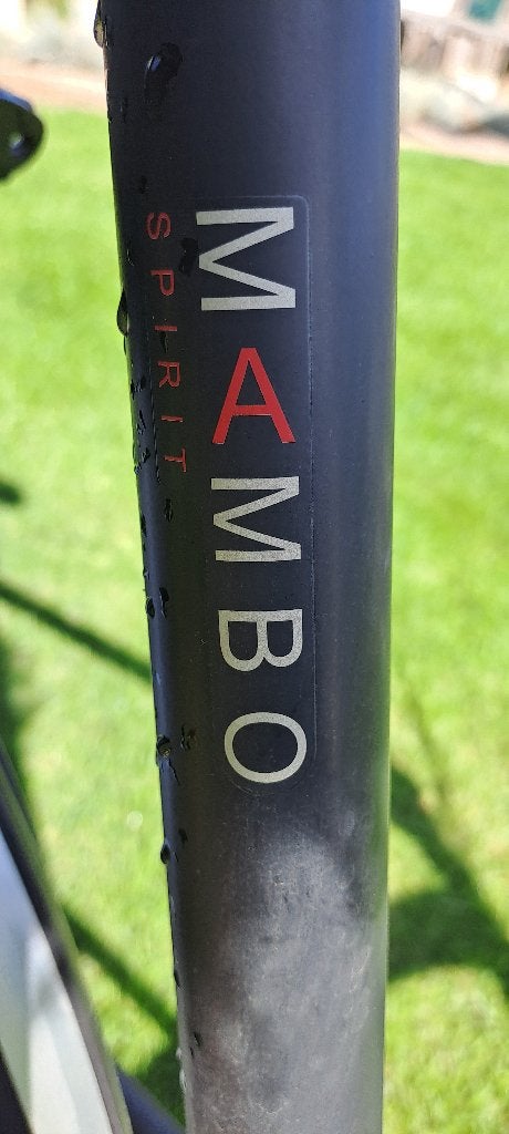 Damesfiets Batavus Mambo, Ophalen, Versnellingen, Batavus, Trommelrem