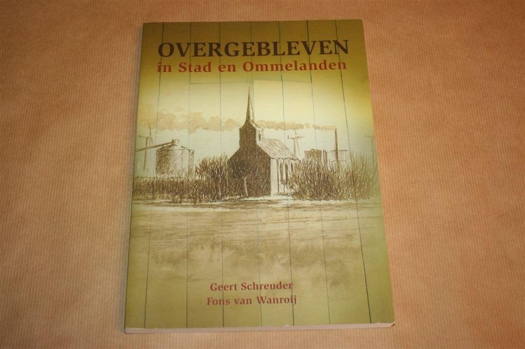 Overgebleven. In Stad en Ommelanden., Boeken, Geschiedenis | Stad en Regio, Ophalen of Verzenden, Zo goed als nieuw