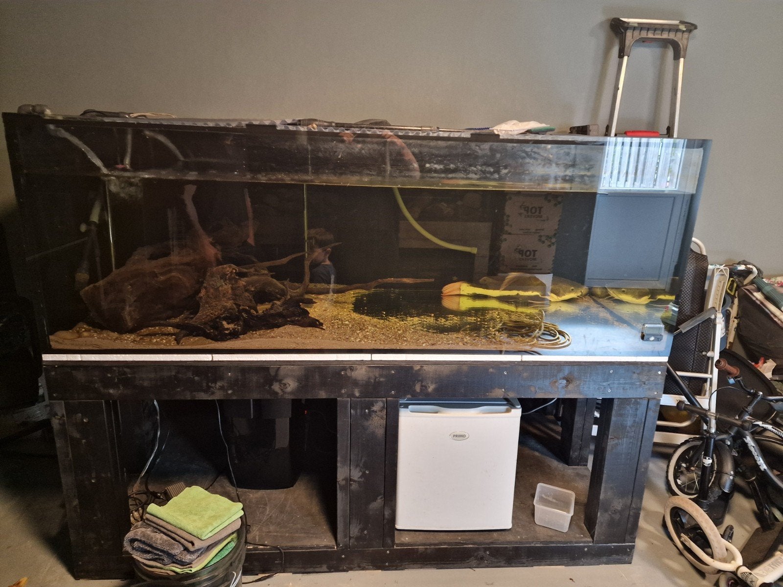 Aquariums afhalen, Ophalen, Gebruikt, Leeg aquarium