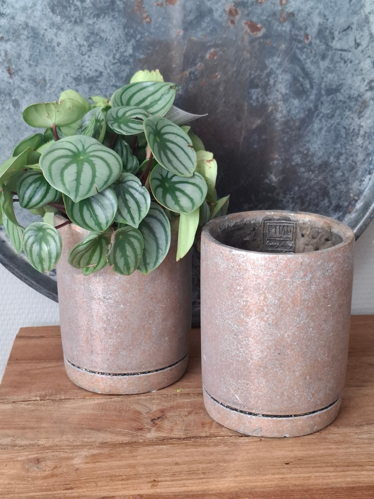 PTMD Bloempot VIK 20x20x25 cm - Cement Bruin (set van 2), Bruin, 25 cm, Ophalen of Verzenden, Zo goed als nieuw