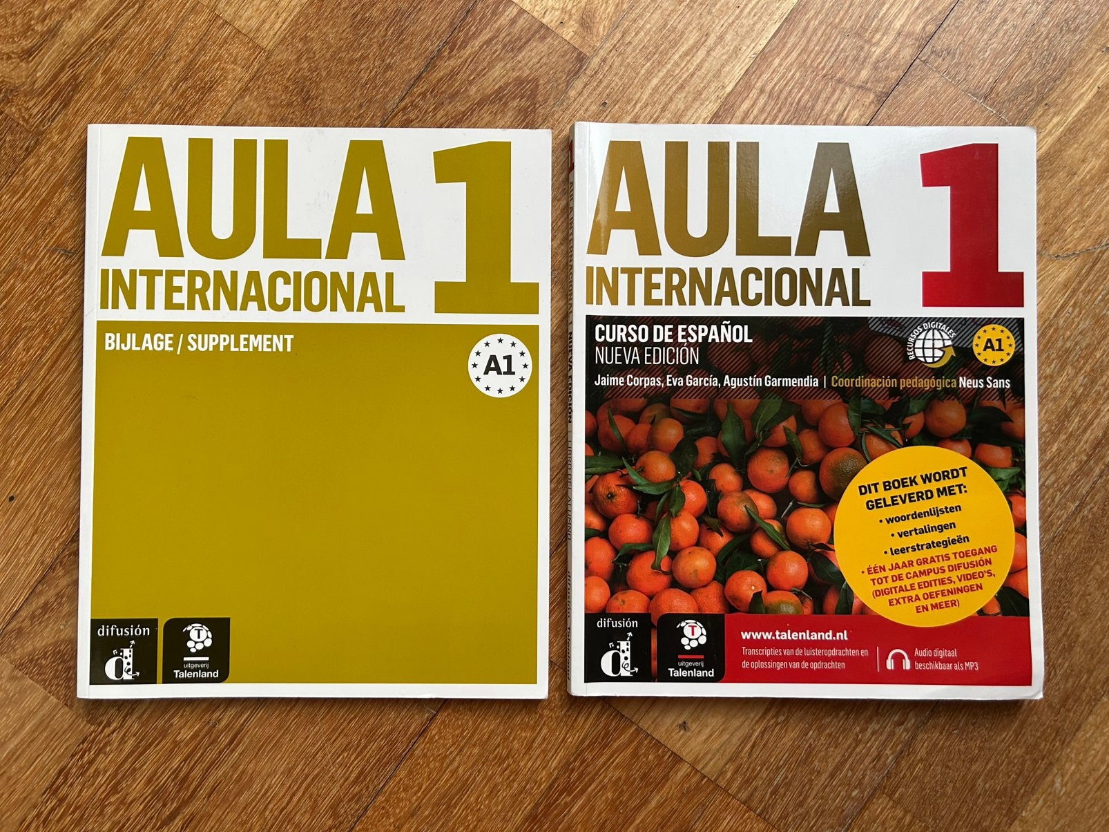 Aula Internacional 1 (Spaans), Boeken, Taal | Spaans, Gelezen, Ophalen of Verzenden
