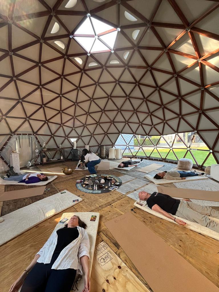 Houten geodesic domes van DroomDome, Ophalen, Overige typen, 6 meter of meer, Nieuw