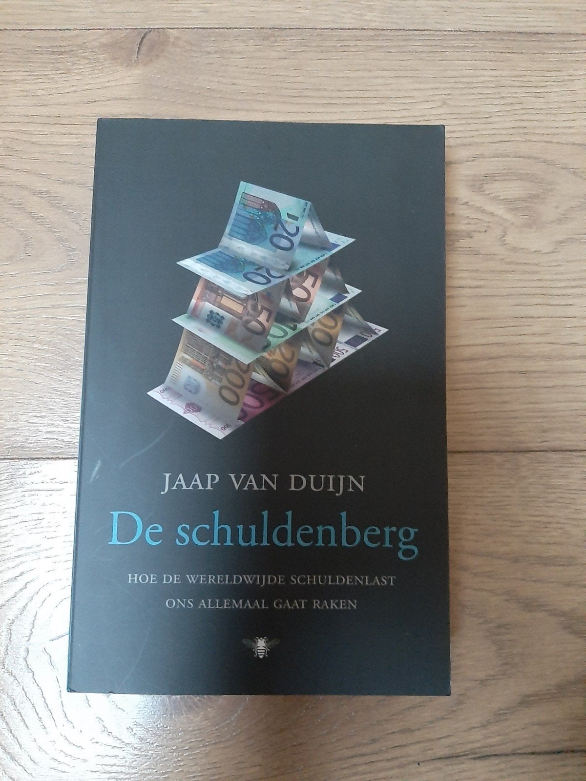 De schuldenberg - Jaap van Duijn (Economie), Ophalen of Verzenden, Zo goed als nieuw, Economie en Marketing, Jaap van Duijn