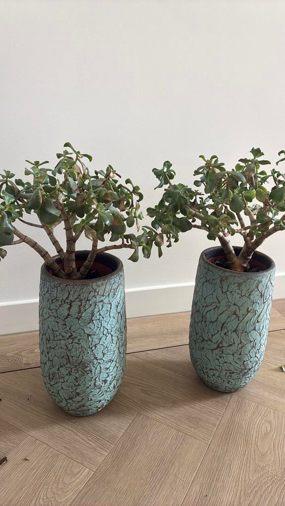 Bloempot hoog evi antiq bronze binnen 17 cm 2 stuks, Ophalen, Rond, Binnen, Zo goed als nieuw