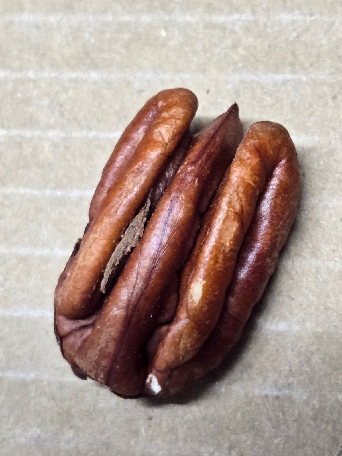 Pecannoten in dop geroosterd en gezouten, Diversen, Levensmiddelen, Ophalen of Verzenden