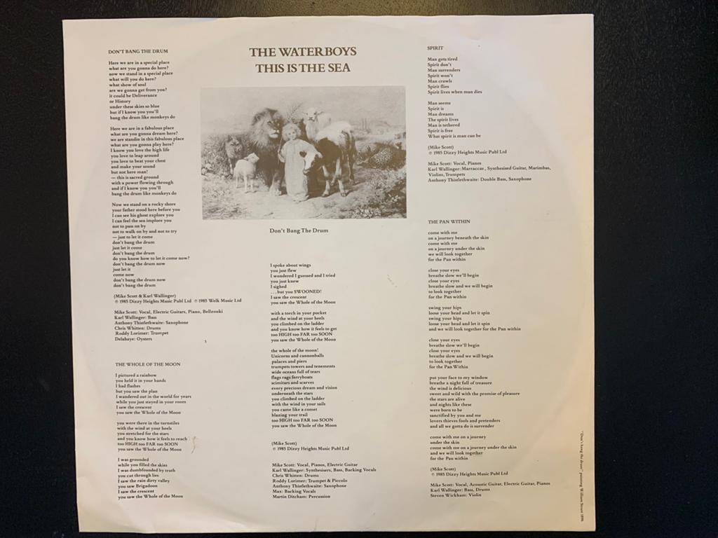 This is the sea: vinyl lp The Waterboys, Inclusief binnenhoes, Ophalen of Verzenden, Gebruikt, 12 inch