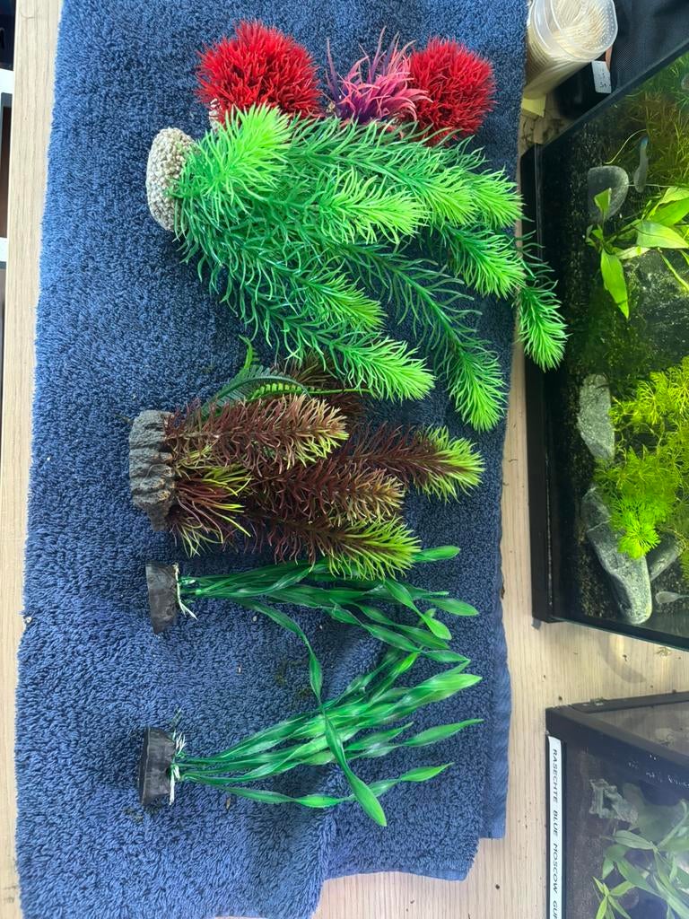 Groot Pakket Aquarium Kunstplanten (7 stuks) – Diverse maten, Ophalen of Verzenden, Zo goed als nieuw, Plant(en), Steen of Hout