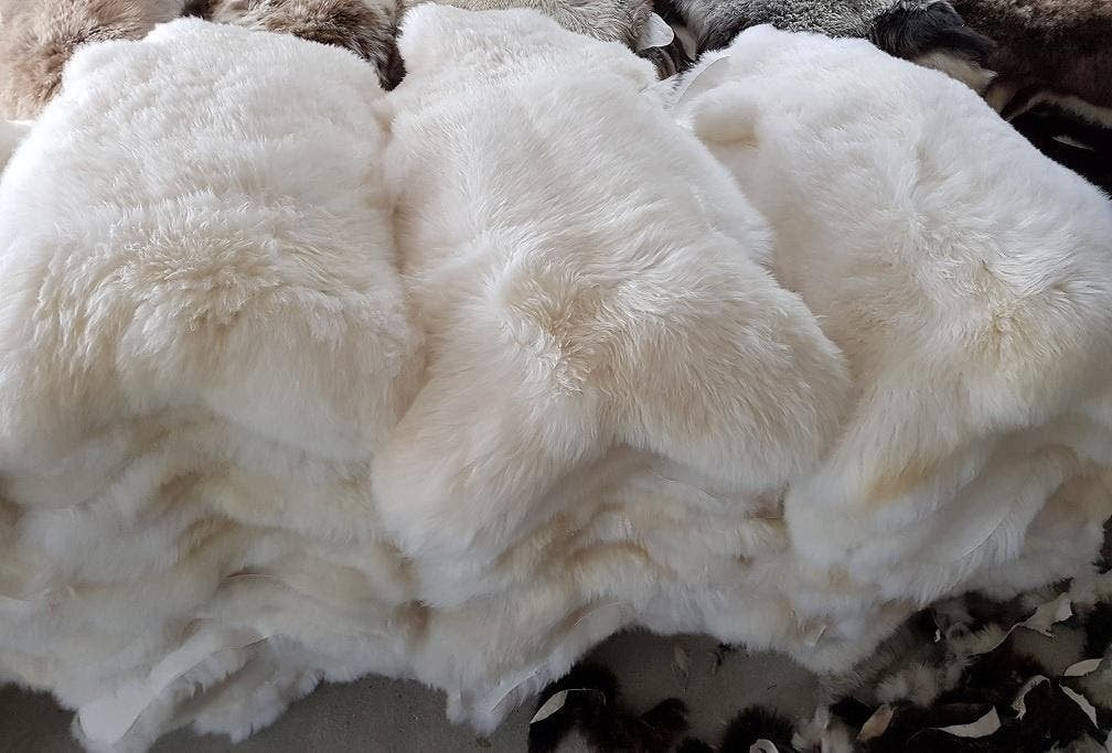 Nieuwe grote schapenvachten wit  bruin of gemelleerd