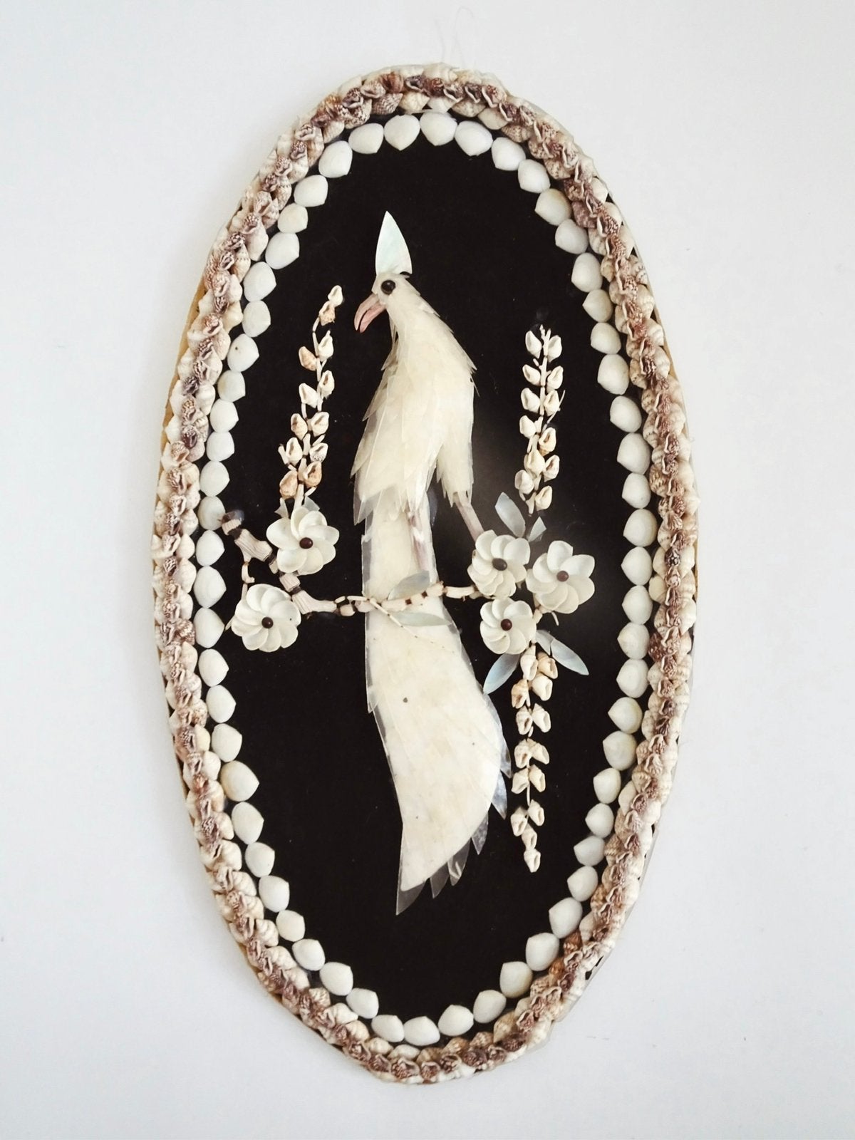 Grote vintage schelp schelpen vogel design lijst zwart wit, Huis en Inrichting, Ophalen, Gebruikt, Decoratieobject, 23 cm